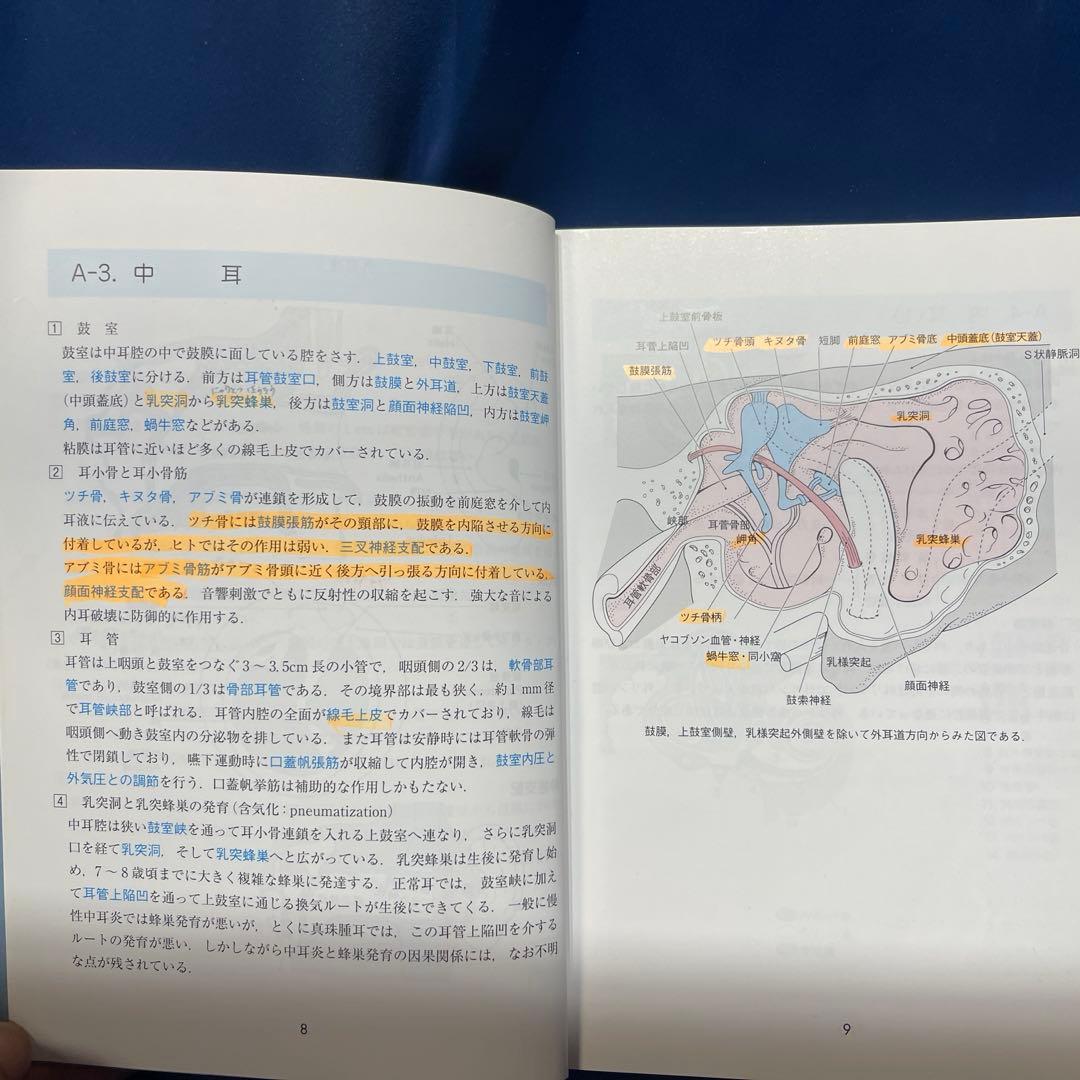 R⑤ イラスト耳鼻咽喉科 第3版 森満保 文光堂
