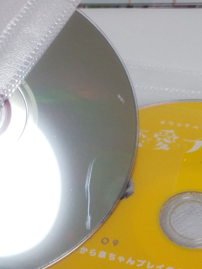 【レンタル落ち】アニメDVD 恋愛フロップス