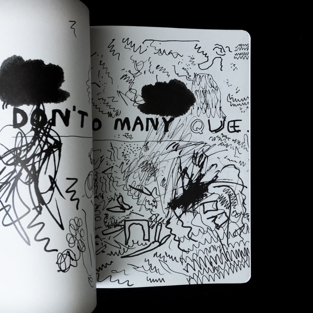 デイヴィッド・シュリグリー, The Book of Shrigley 画集.