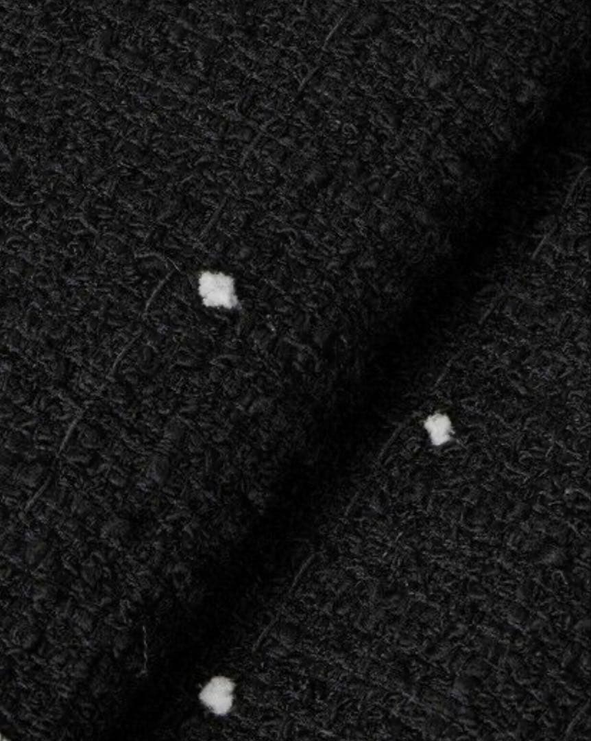 【新品】Eternal Line 2025 ANAYI ミニドットツイードジレ