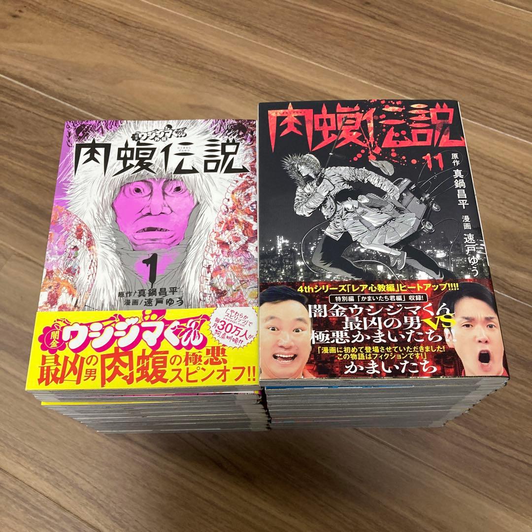 けんさん専用　ウシジマくん外伝　肉蝮伝説 既刊セット 1-21巻