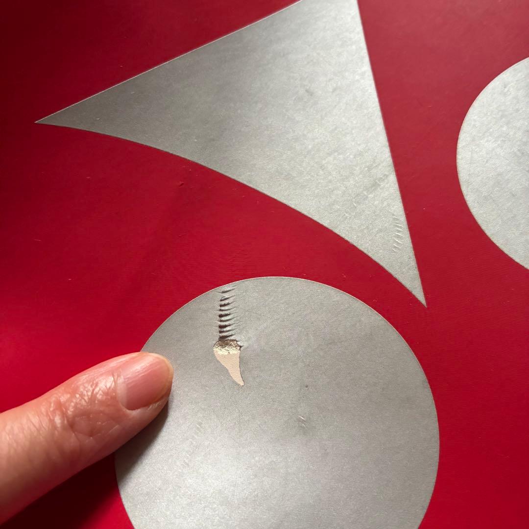 ヨネックス　ラケットバック　ラケバ　フレイムレッド　バドミントン　テニス