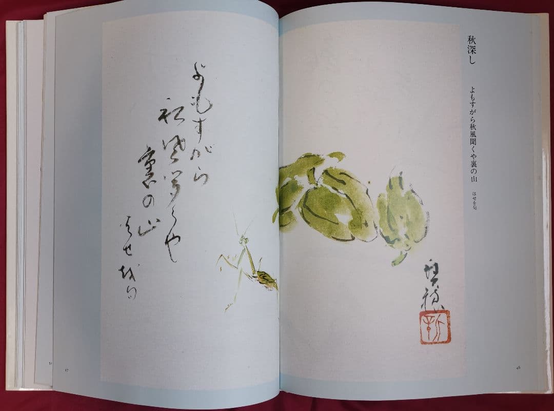 俳画 花鳥風月 藪本積穂 花の万博XOP'90俳画出展記念出版 秀作出版社