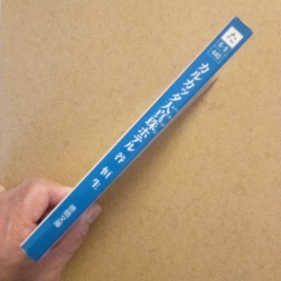 絶版／異空間アドベンチャー・バンコク楽宮ホテル・カルカッタ大真珠ホテル　谷恒生