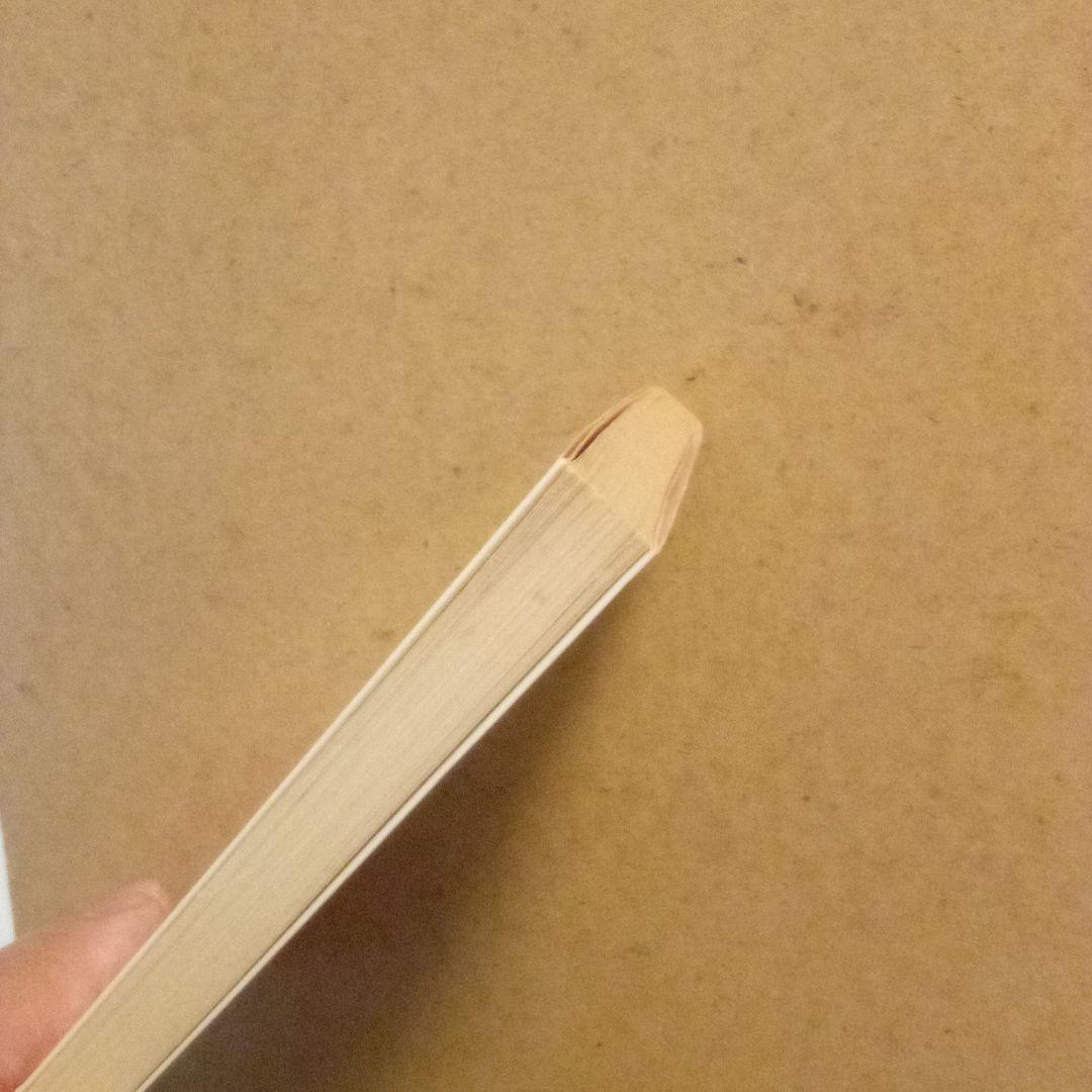 絶版／異空間アドベンチャー・バンコク楽宮ホテル・カルカッタ大真珠ホテル　谷恒生