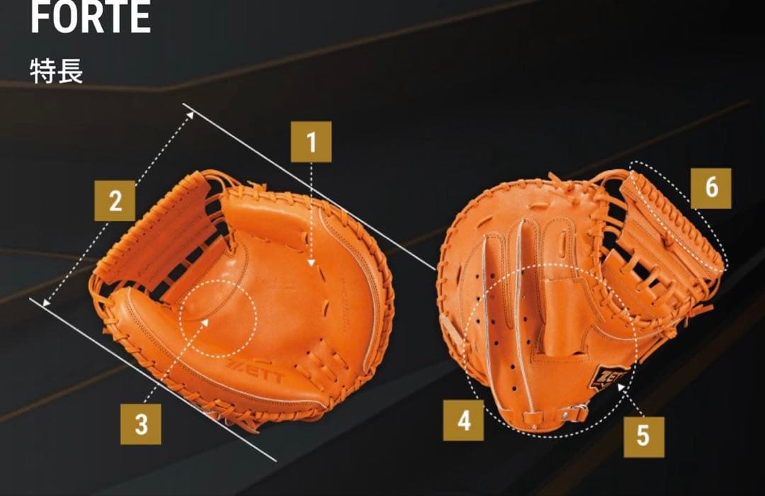 ゼット プロステ 硬式 キャッチャーミット BPROCM520