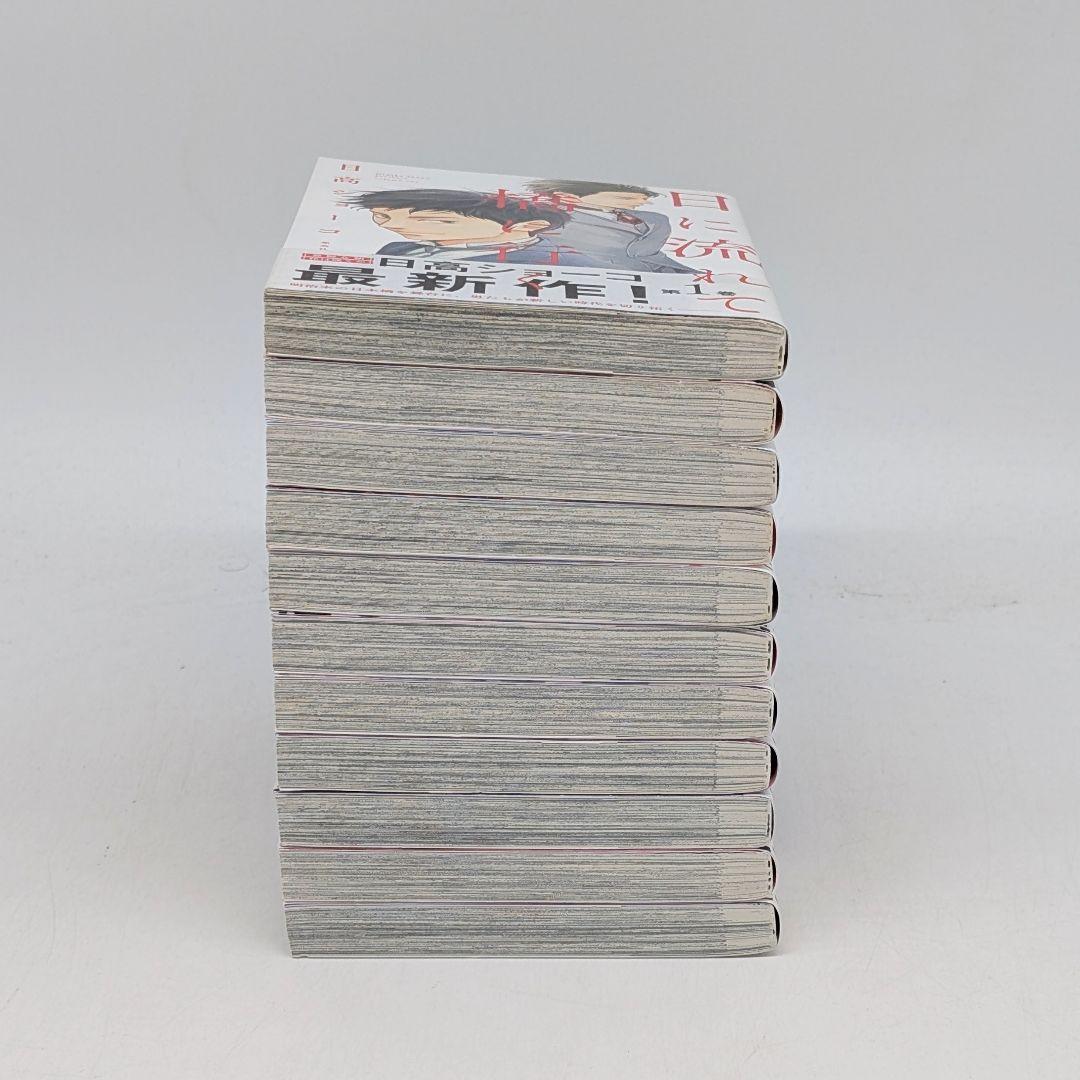 日に流れて橋に行く 1〜11巻