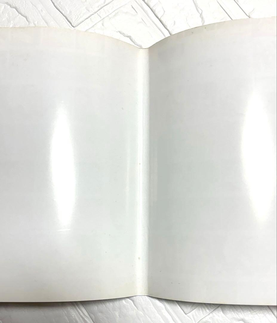 【絶版・希少本】坂本慎太郎 アートワーク集 1994-2006 ゆらゆら帝国