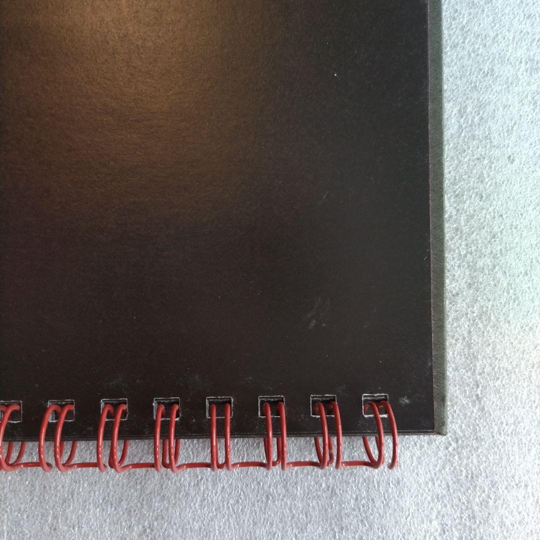 エヴァンゲリオン イラストカレンダー 2010-2011