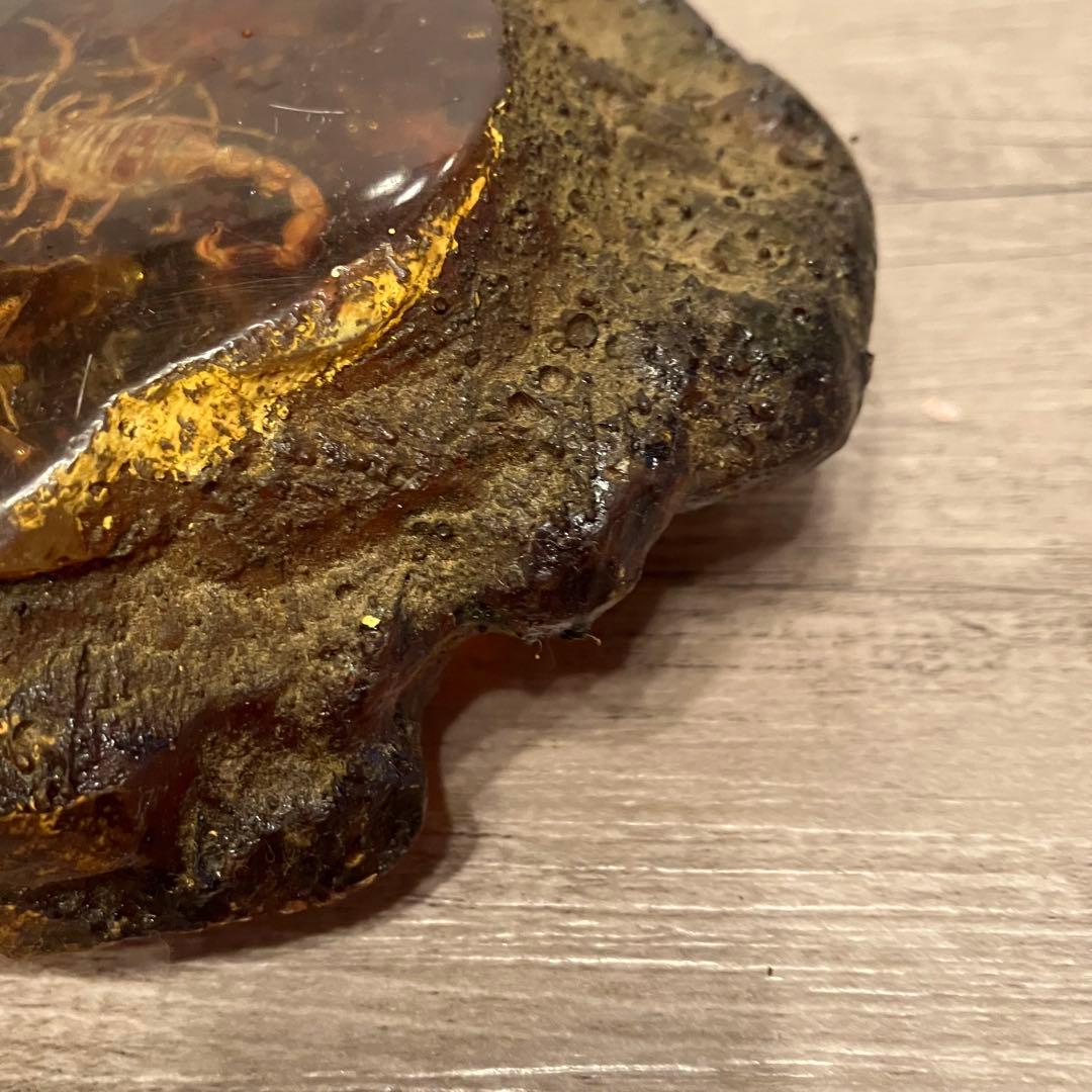 E-4 【希少】サソリ入り 琥珀 置物 アンバー 樹脂 標本 インテリア 骨董