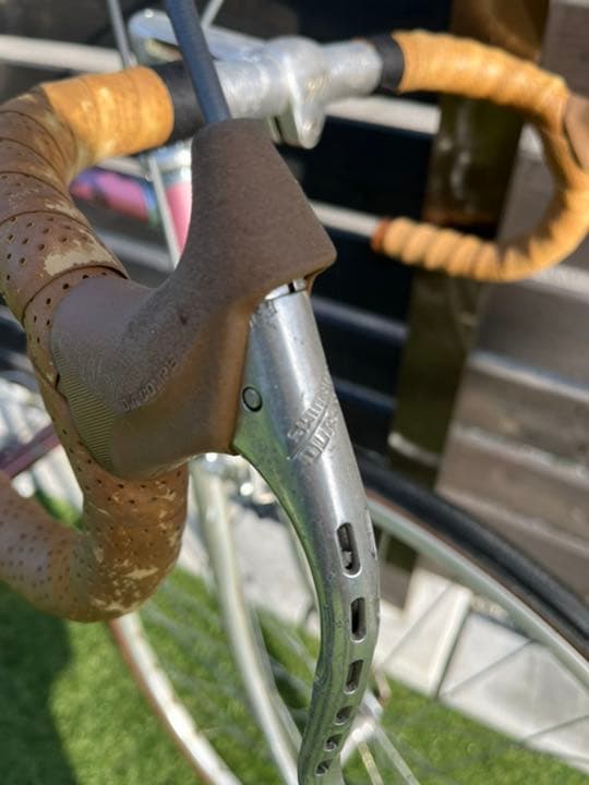 ツノダサターン