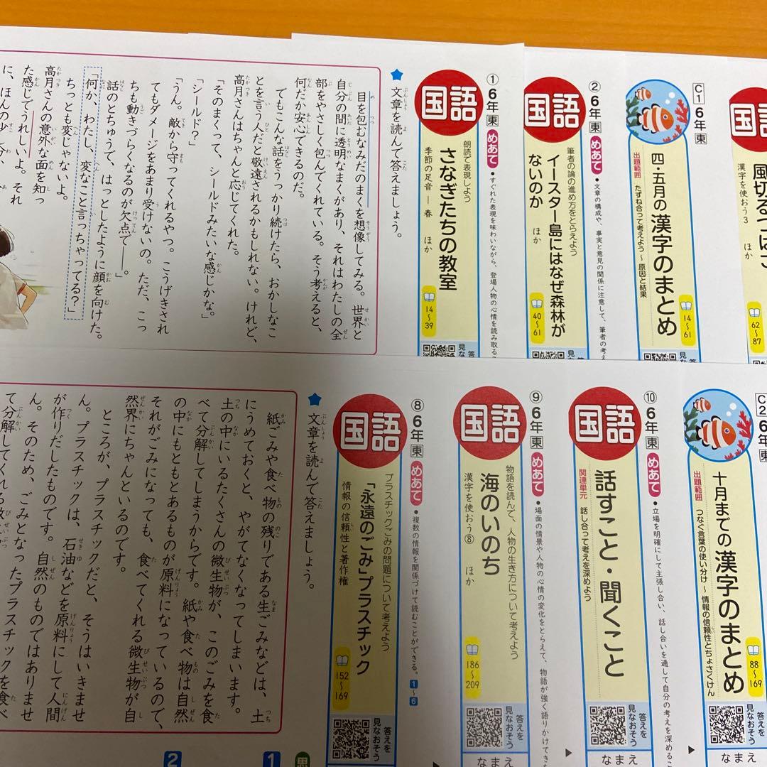 カラーテスト　6年生 国語 未記入