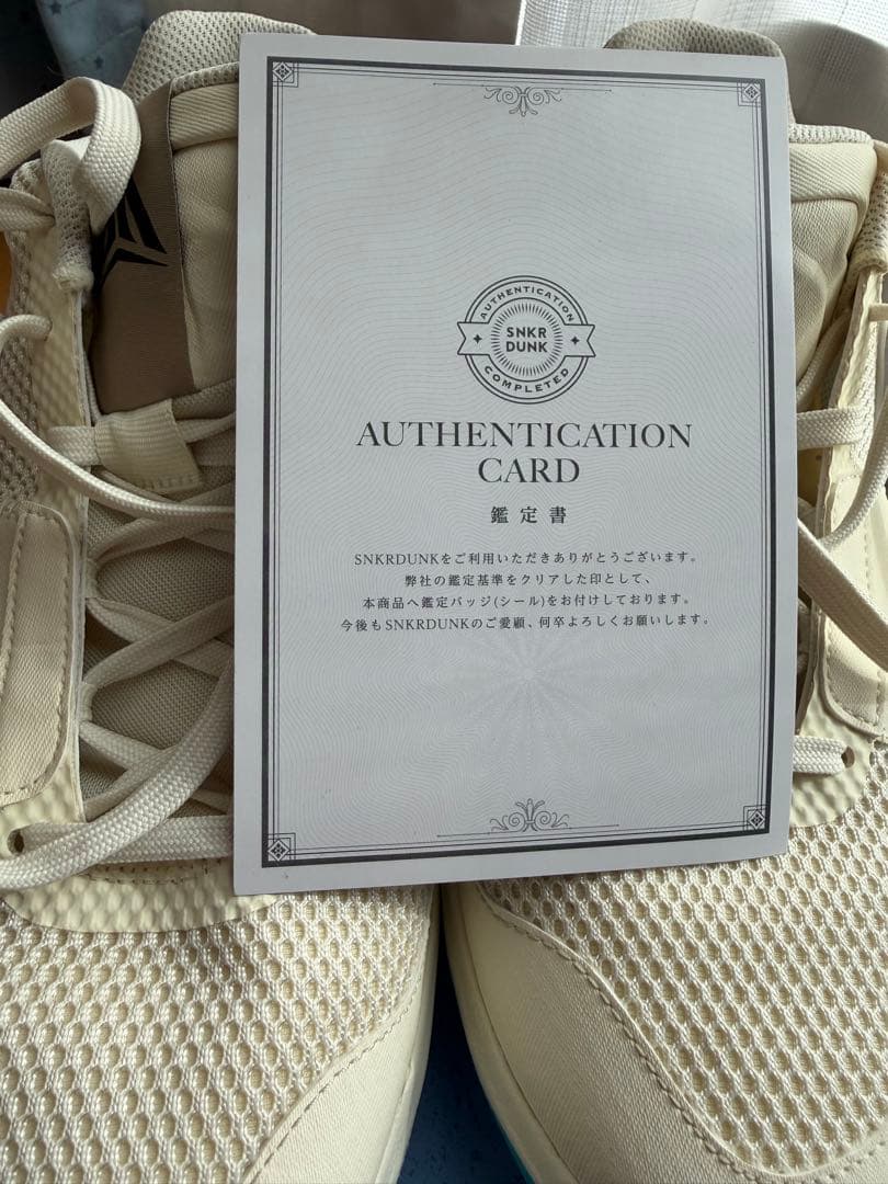 美品　NIKE JA 1 EP２８センチ