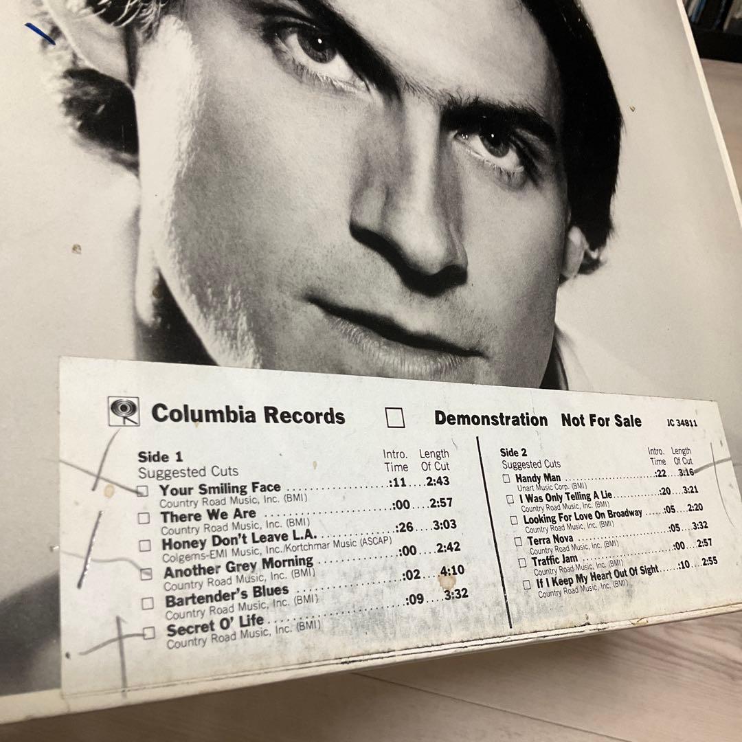 James Taylor Handy Man ジェームズテイラー　米盤レコード