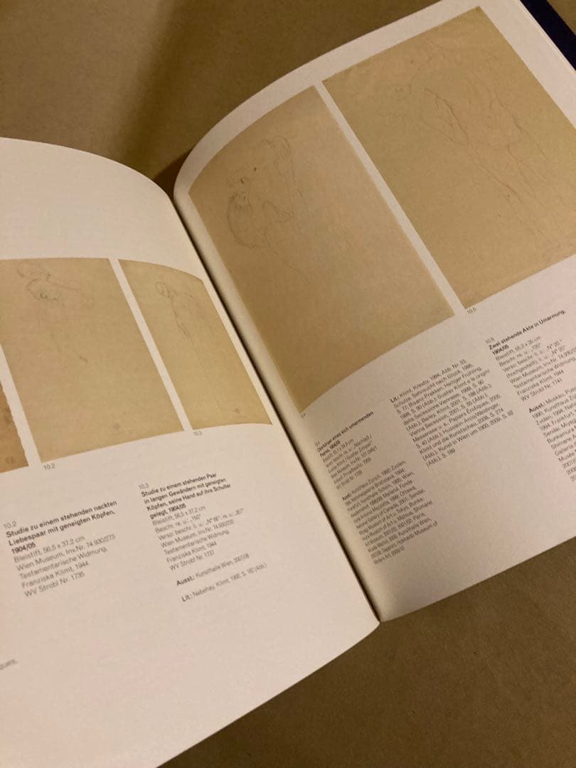 Gustav Klimt 資料　芸術家　作風　官能的　装飾　絢爛