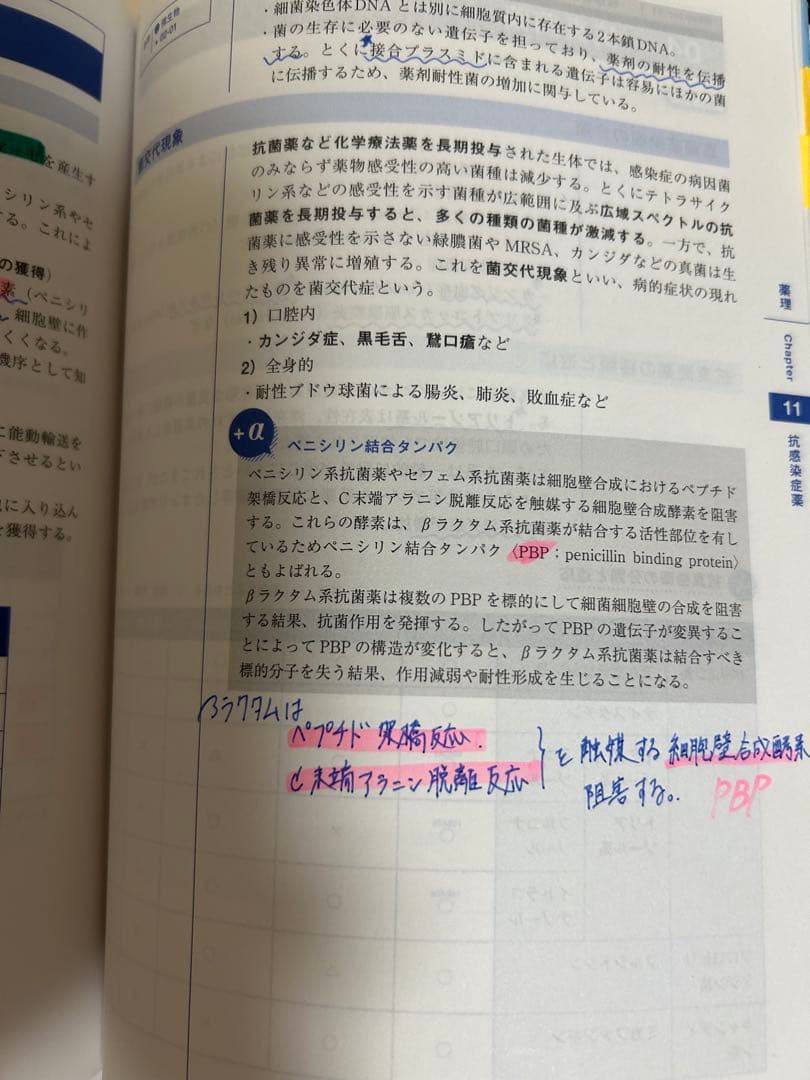 歯科医師国家試験　NEW Text 2024 全7巻セット