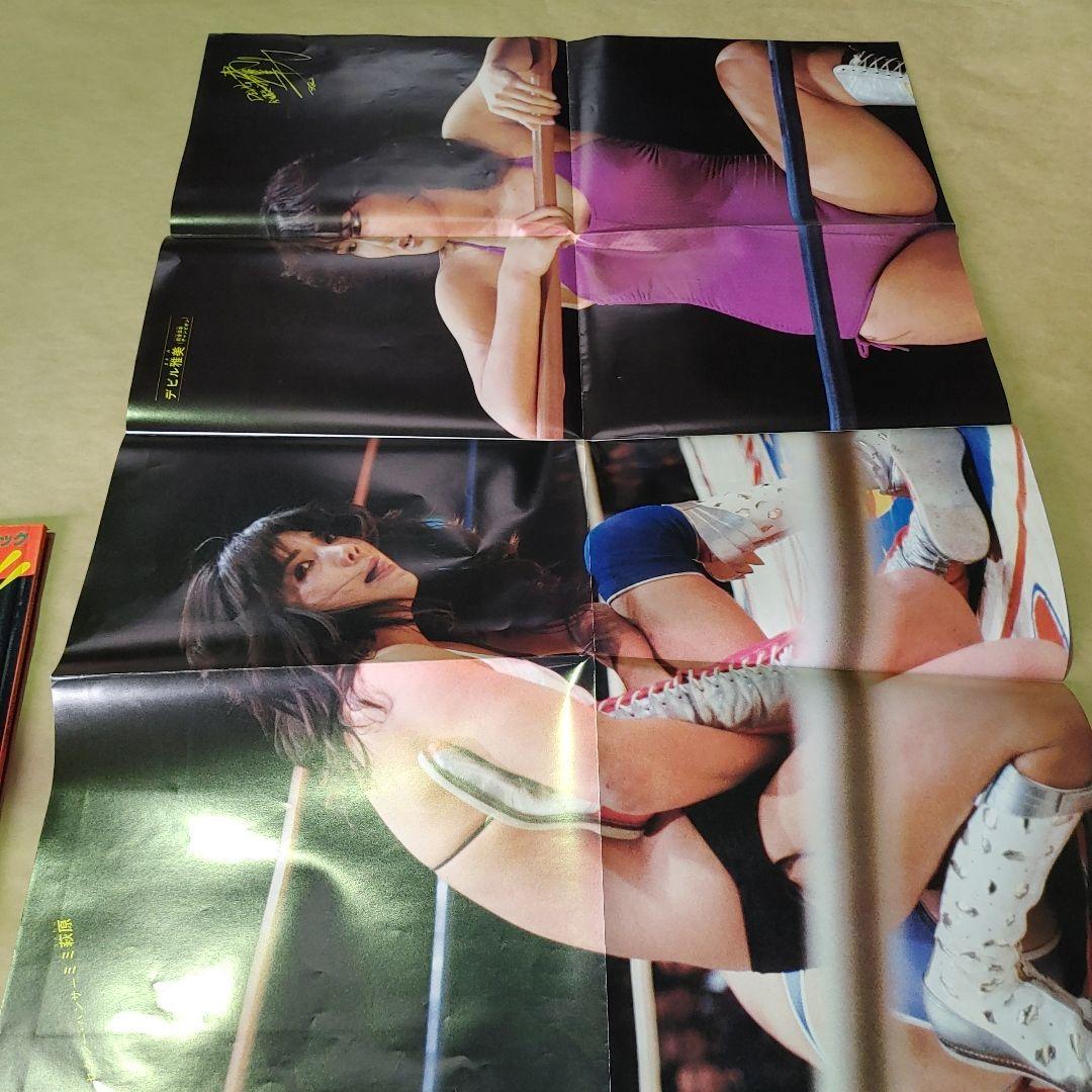 女子プロレス　リングより愛を！！　ビューティフル ファイター グラフィック