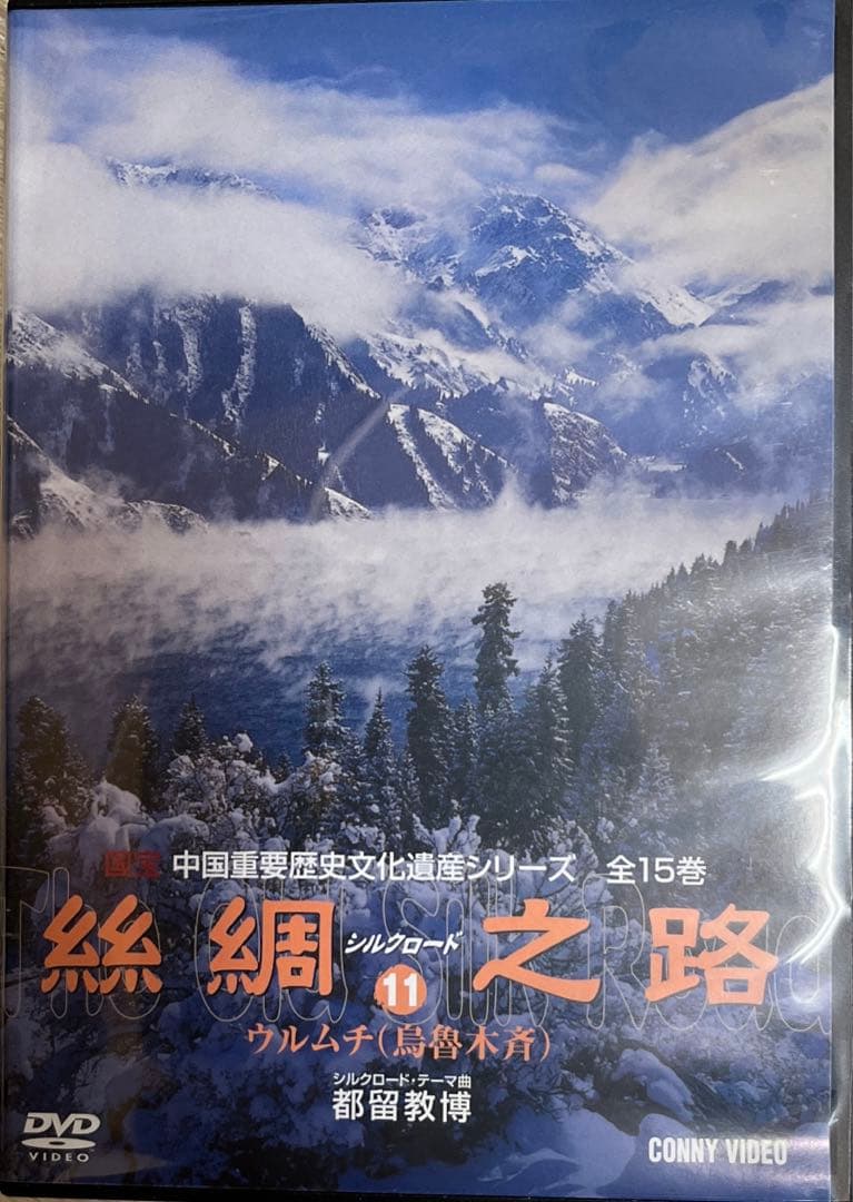 絲綢シルクロード之路  DVD全15卷