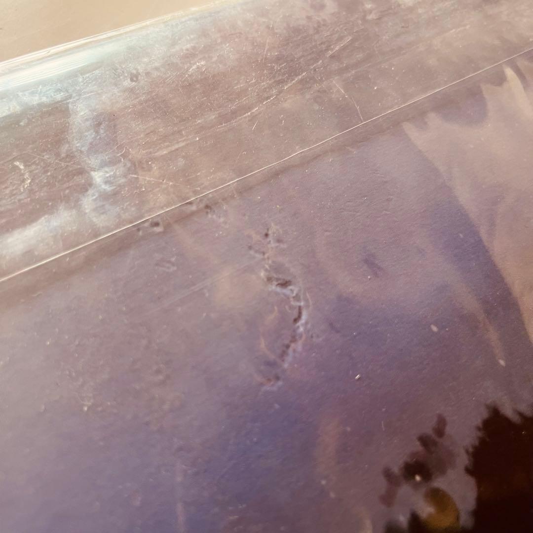 完全受注生産 限定盤『君の名は。』RADWIMPS アナログ盤 レコード