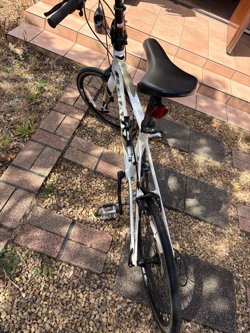 GIANT IDIOM【引取り限定】