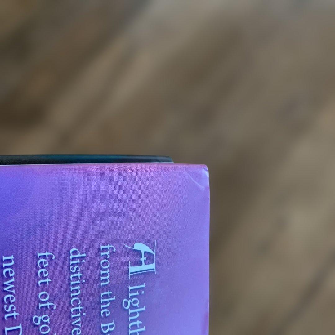 【値下げ中！】 The Art of Tangled アートブック