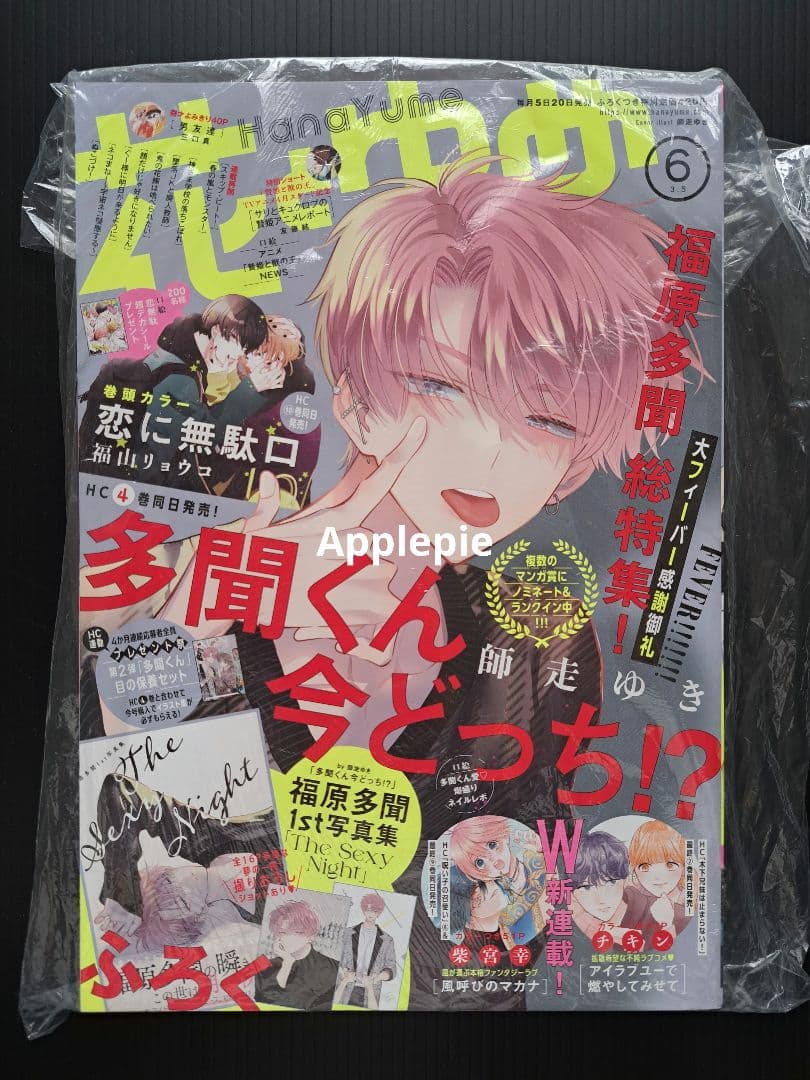 雑誌　花とゆめ　多聞くん今どっち　表紙　写真集