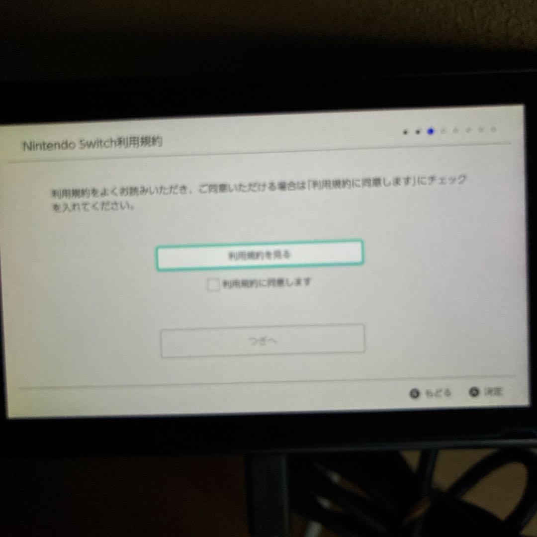 Nintendo Switch 本体 プロコントローラー　ジャンク