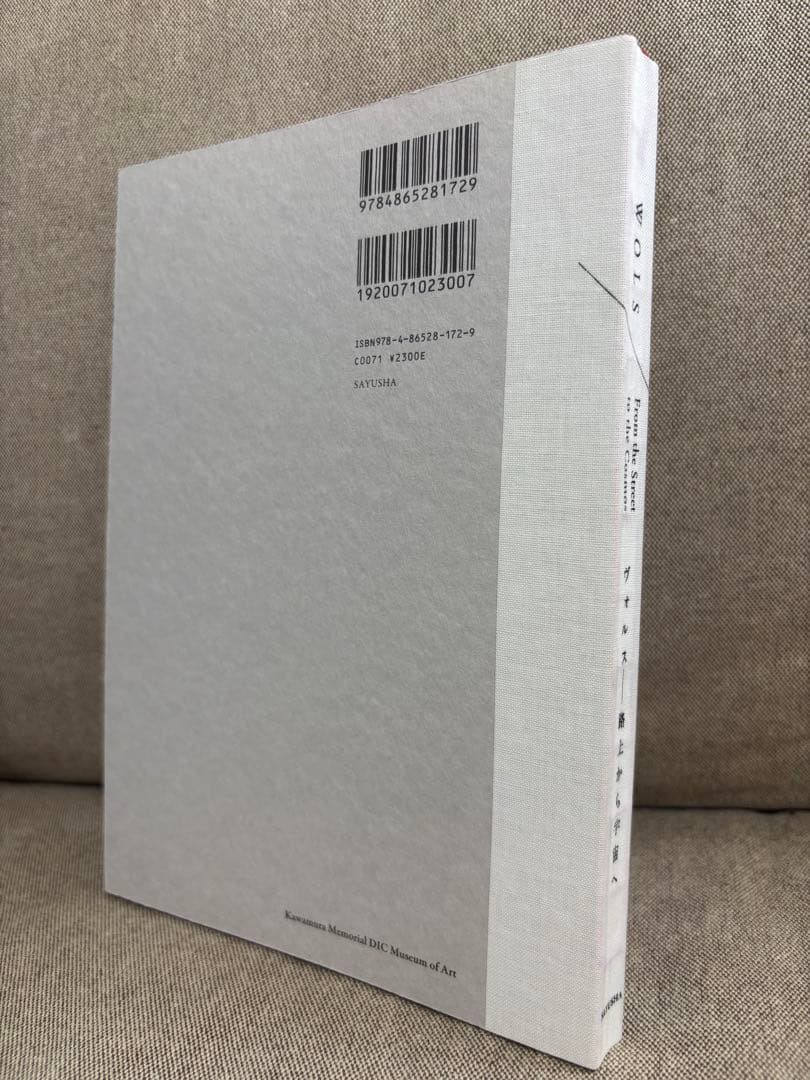 アート・デザイン・音楽 WOLS: From the Street to the Canvas