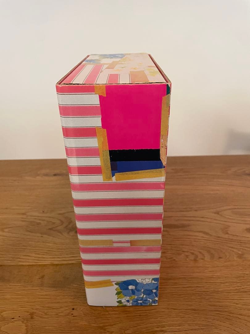 大竹伸朗　全景 1955-2006