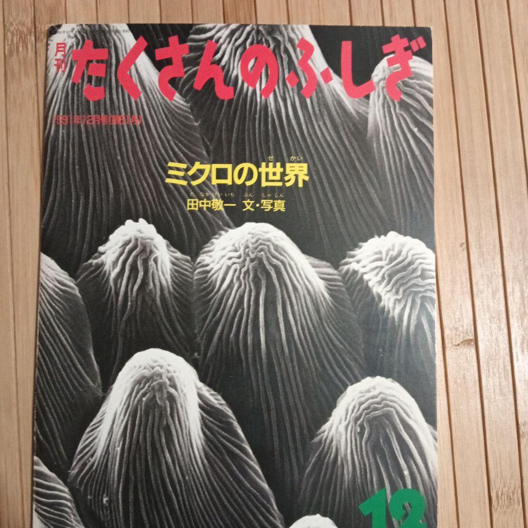 お値下げ！【たくさんのふしぎ】33冊＋希少！見本誌