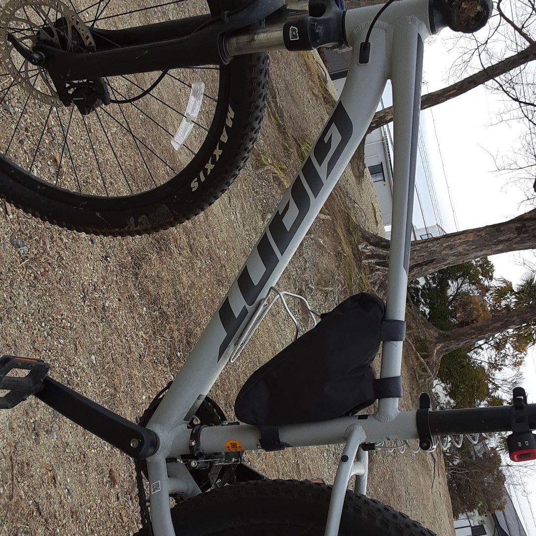 ジャイアント新型車両A979