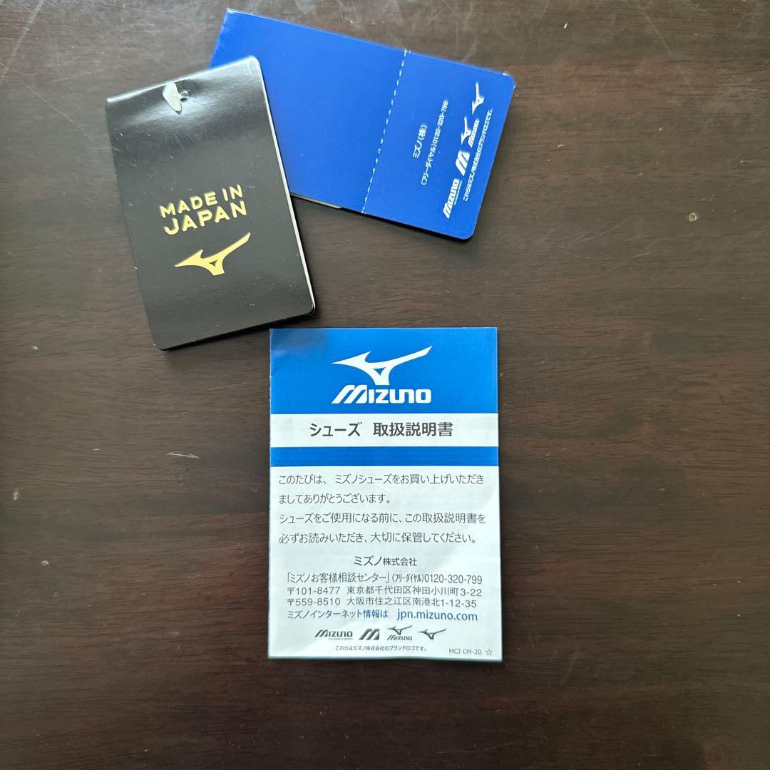 Mizuno モレリアネオ4ベータ