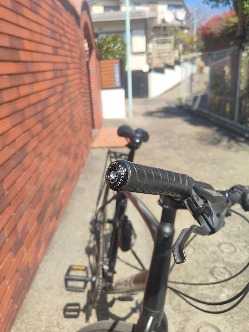 Trek FX1 Disc Satin Trek Black Lサイズ