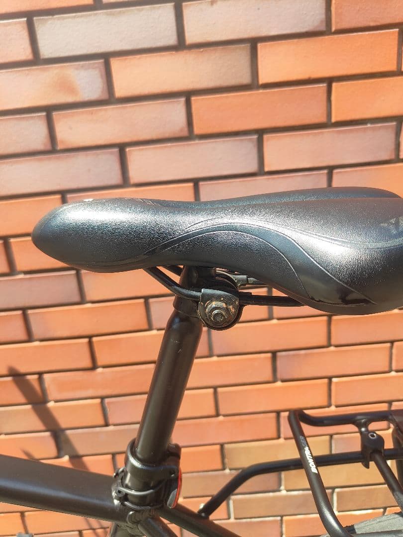 Trek FX1 Disc Satin Trek Black Lサイズ