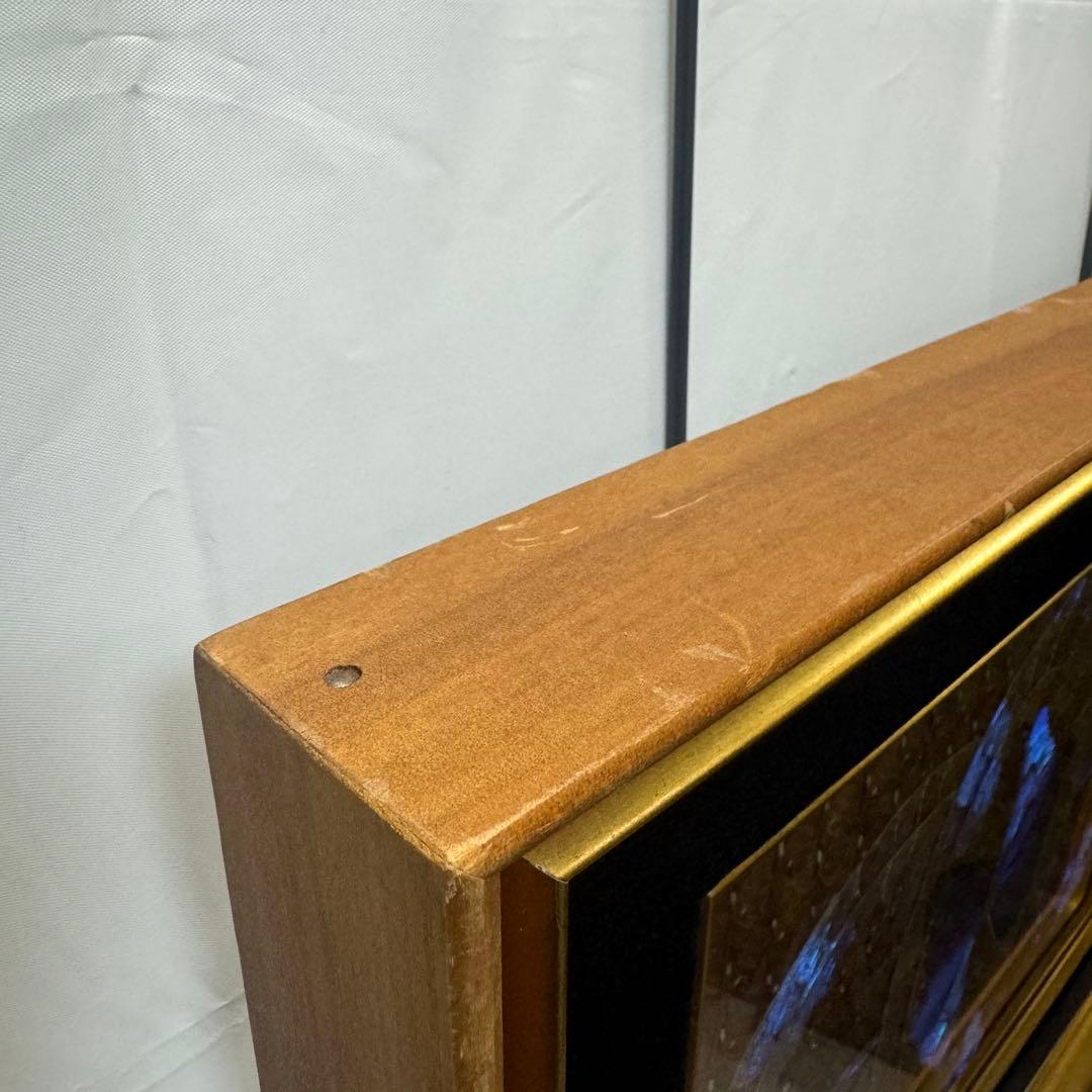 RYU【希少】額装 モルフォ蝶 羽絵 アート アンティーク インテリア