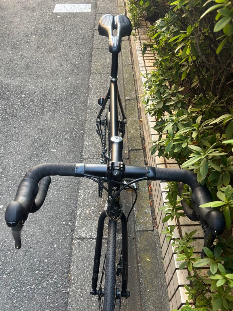 【極美品】RALEIGH Carlton サイズ55 ディスク ロードバイク