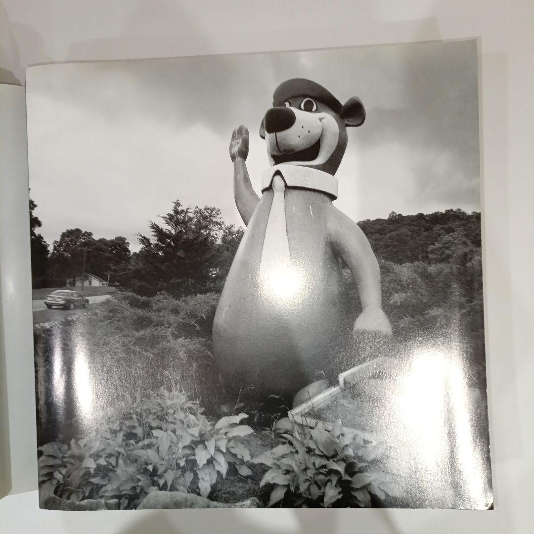 珍世界紀行 アメリカ編　ROADSIDE USA