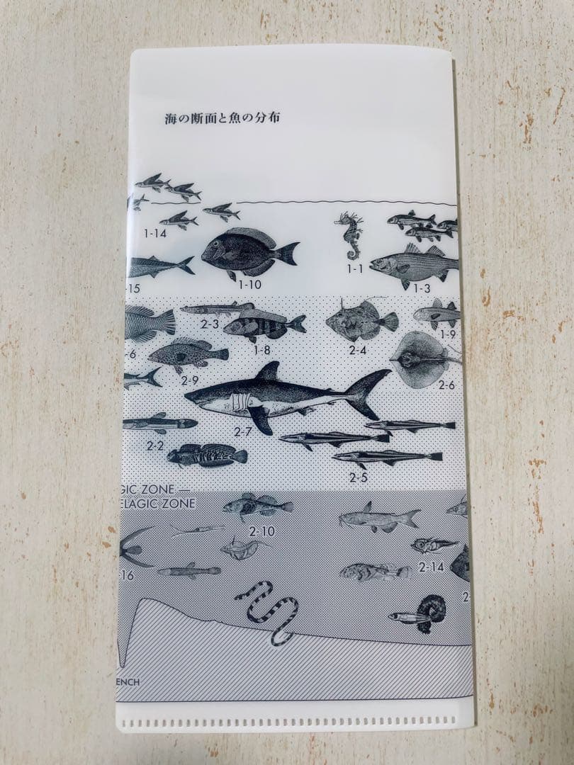 サカナクション　魚大図鑑　(完全生産限定盤)