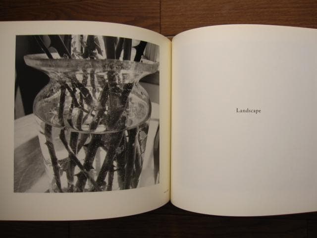 アート・デザイン・音楽 Lee Friedlander 1960s-2000s