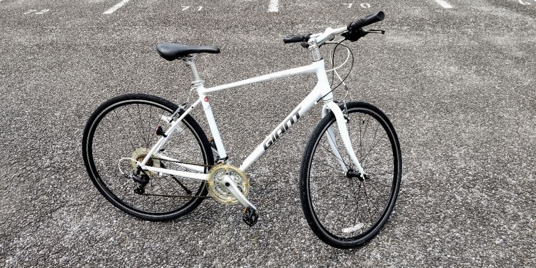 ジャイアントエスケープR3　Mサイズ(愛知県)