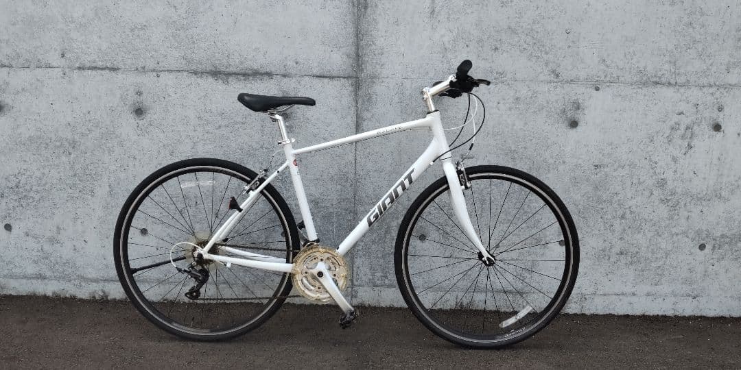 ジャイアントエスケープR3　Mサイズ(愛知県)