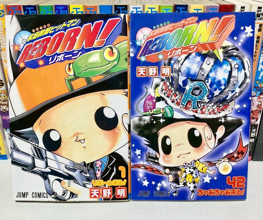 家庭教師ヒットマンREBORN! 全巻 1~42巻　＋関連本多数