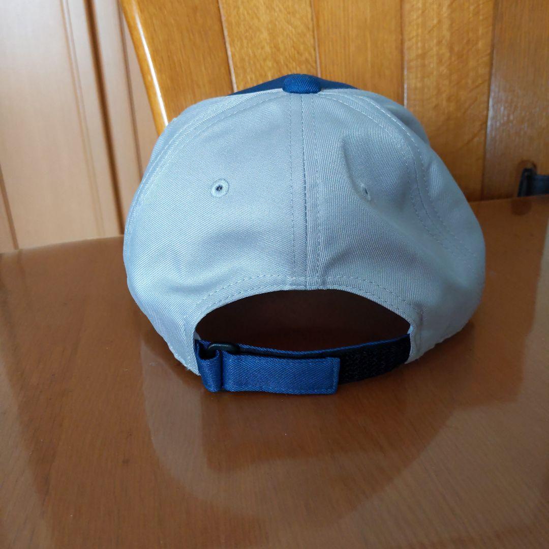 Hanshin Tigers キャップ 青・白