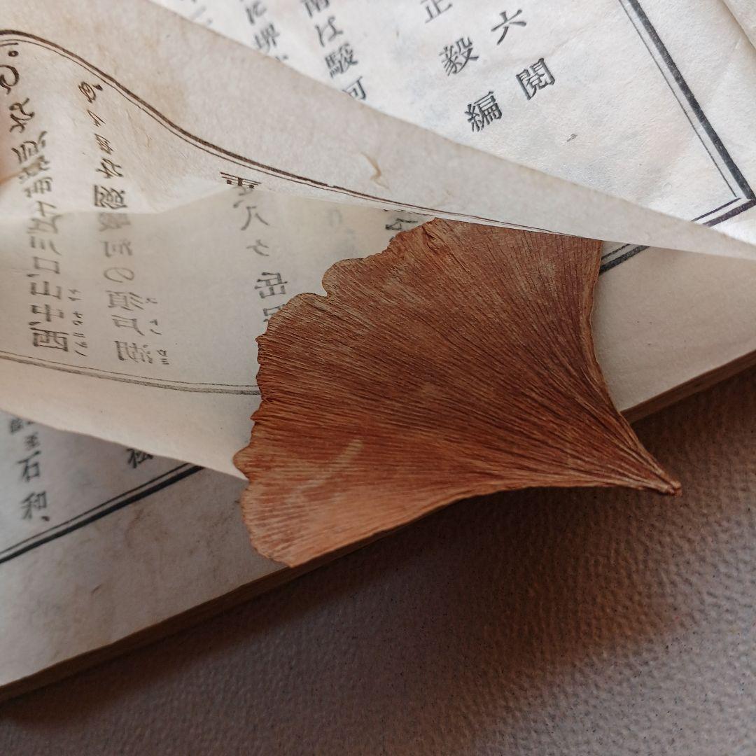 明治時代の教科書と押し葉　『甲斐地誌』　 明治26年　山梨県の地理　希少入手困難