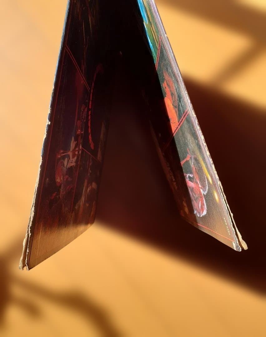 The Beach Boys Endless Summer レコード