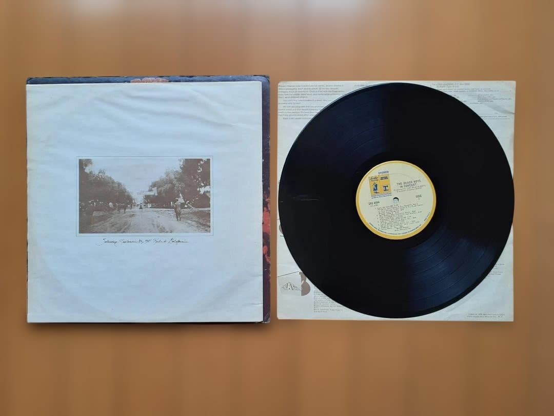 The Beach Boys Endless Summer レコード