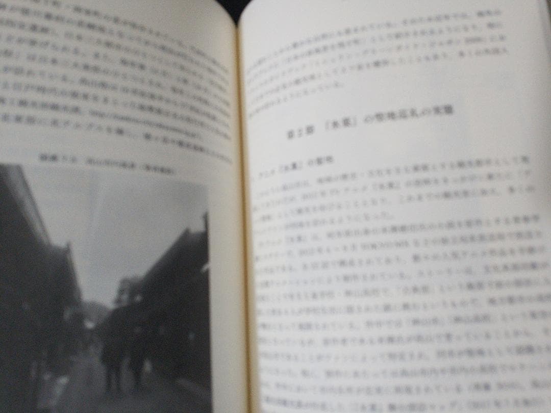 アニメ聖地巡礼の行動特徴と地域施策 事例からの考察