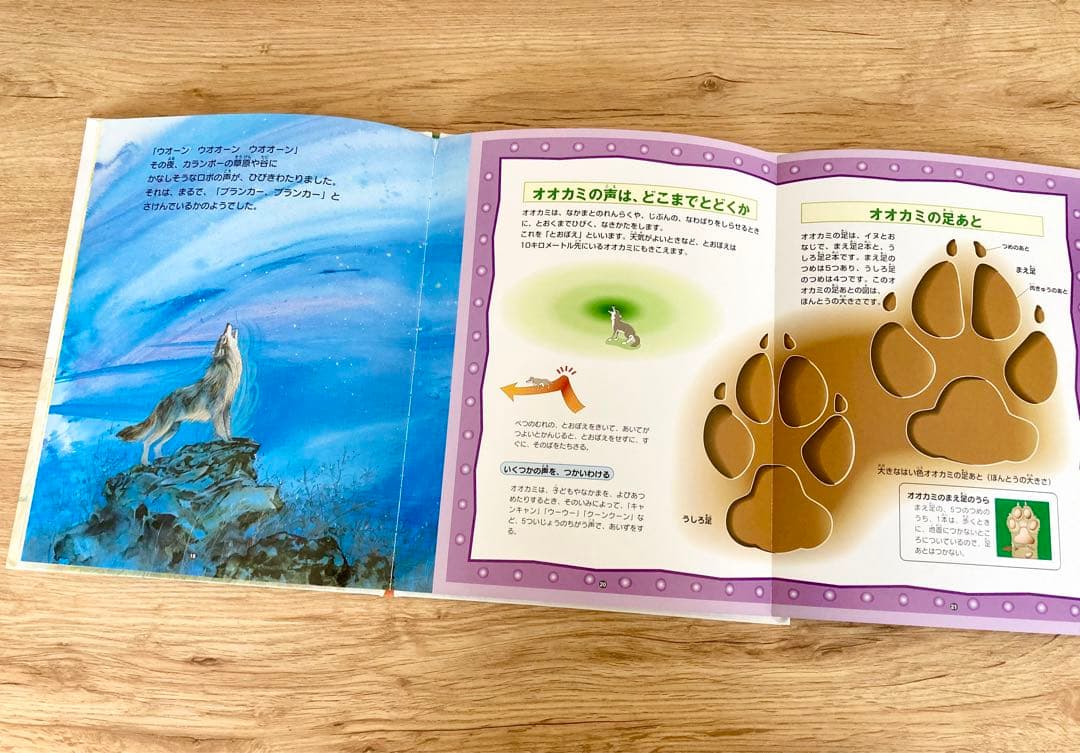 〈初版〉  絵本図鑑 シートンどうぶつ記　全巻 5巻セット　金の星社