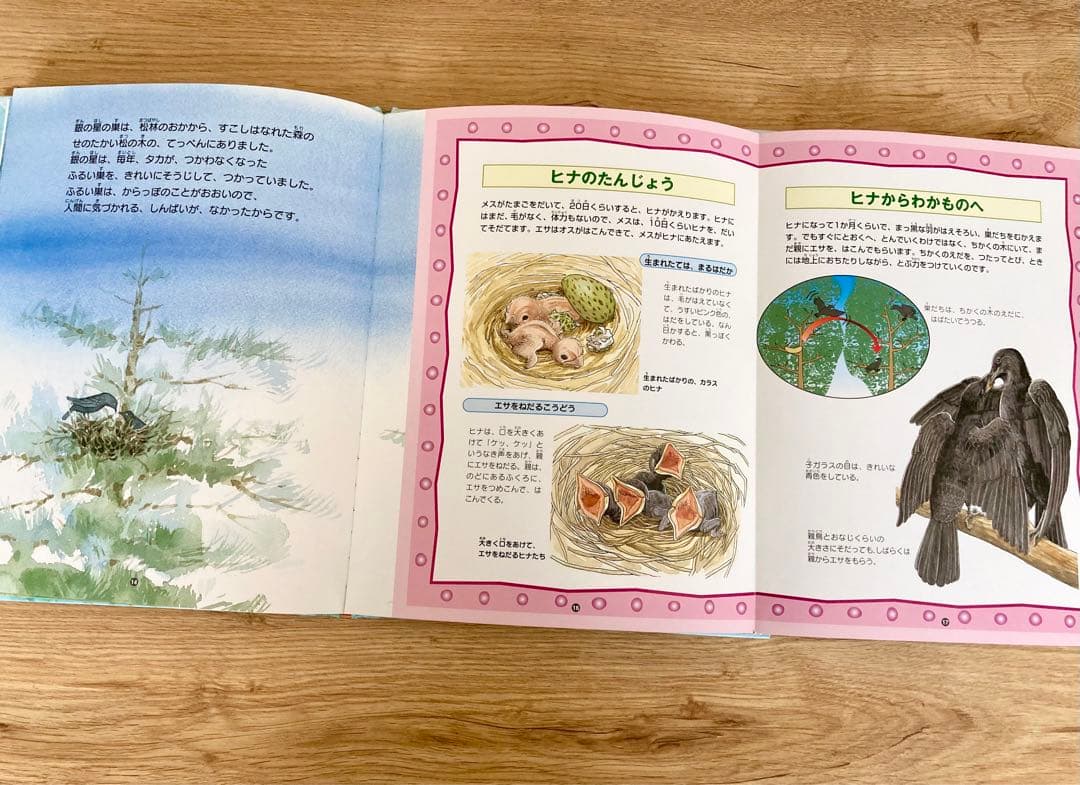 〈初版〉  絵本図鑑 シートンどうぶつ記　全巻 5巻セット　金の星社