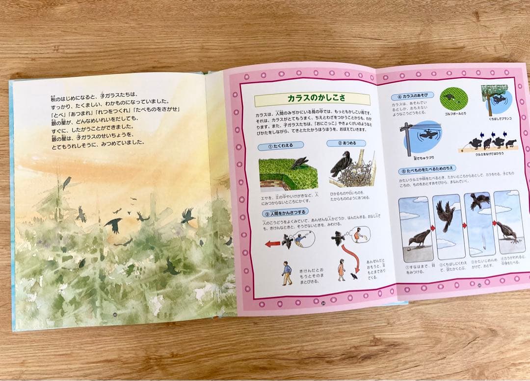 〈初版〉  絵本図鑑 シートンどうぶつ記　全巻 5巻セット　金の星社